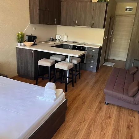 Apartment фамилно студио релакс Shkorpilovtsi